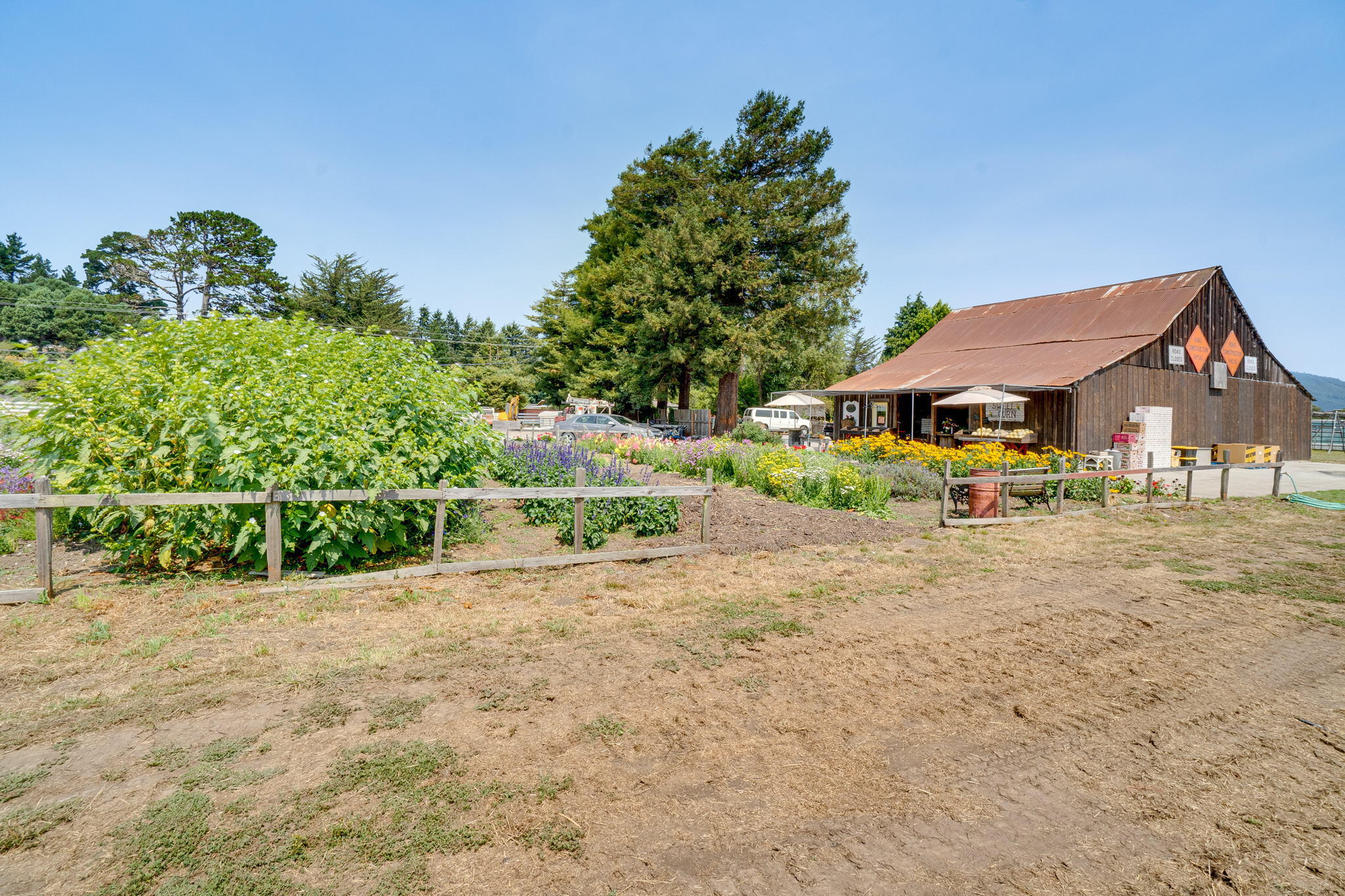 6786 Rohnerville Road Hydesville, CA 95547 - Photo 55 of 72 55-web-or-mls-102