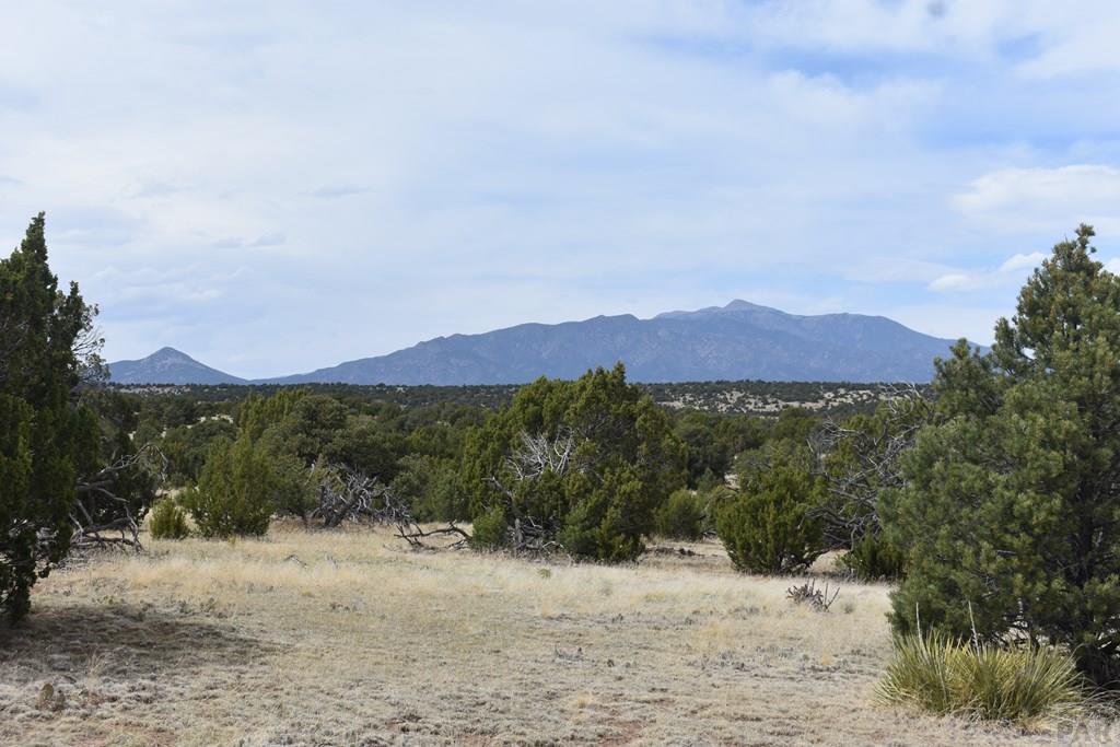 87-119 Twin Lakes Road Walsenburg, CO 81089 - Photo 4 of 21