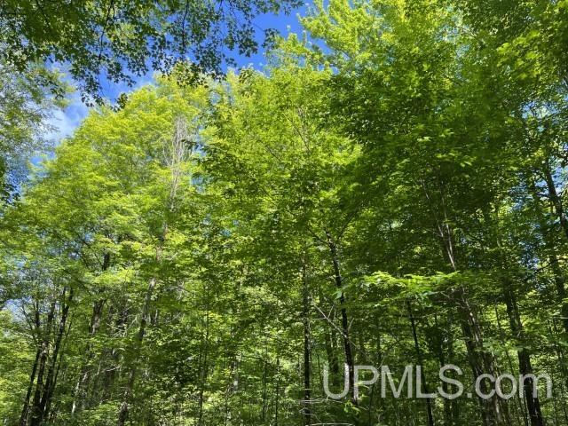 40-acres New DNR Road Crystal Falls, MI 49920 - Photo 31 of 46