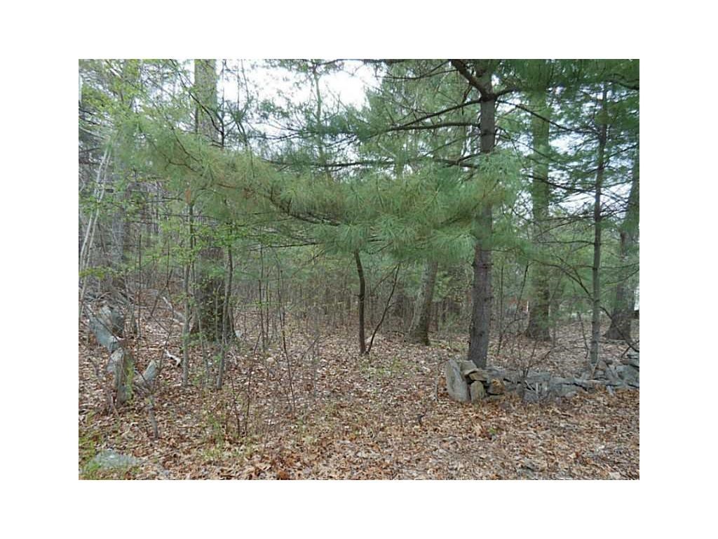 0 Old Tunk Hill Road Foster, RI 02825 - Photo 3 of 5