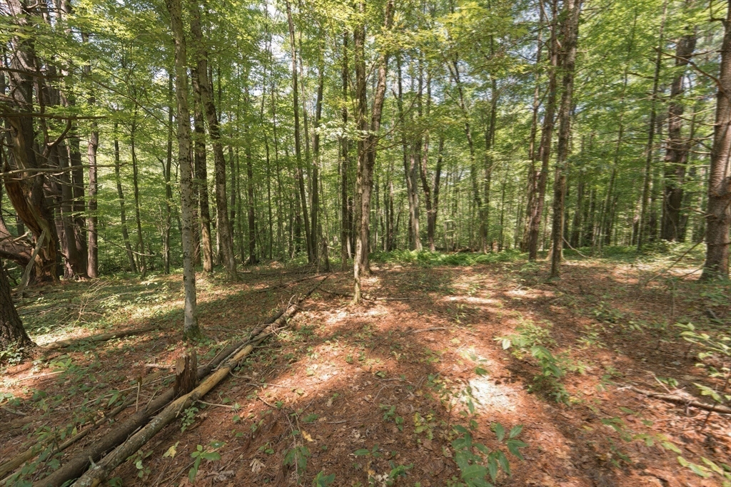 56 Carleton Road Millbury, MA 01527 - Photo 38 of 39 Gallery Image 38