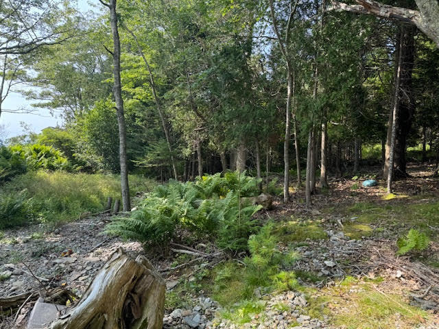 Lot C Long Point Road Harpswell, ME 04079 - Photo 2 of 36 unnamed-5