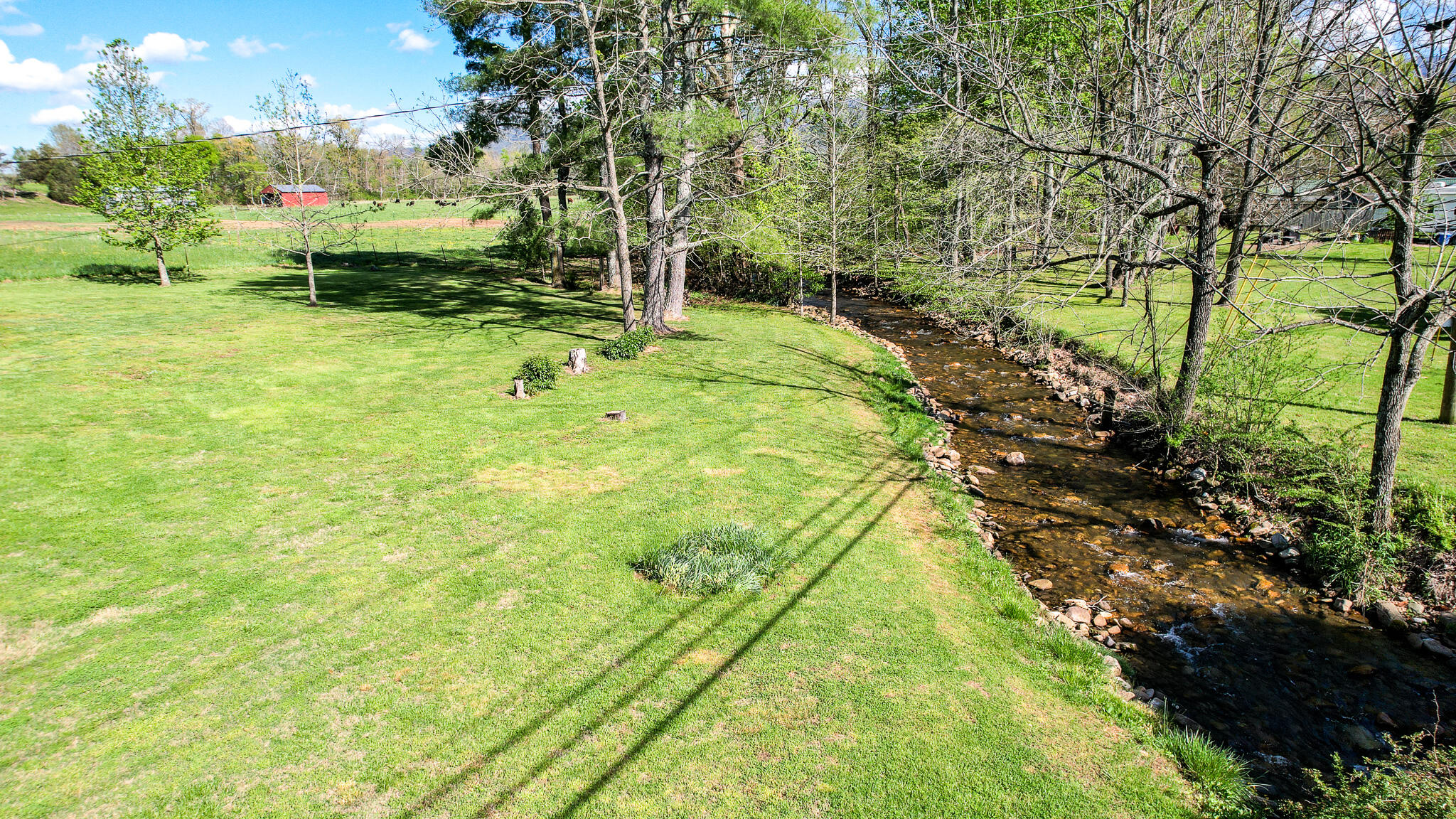 905 North Water Fork Road Greeneville, TN 37743 - Photo 46 of 57 Creek (2)