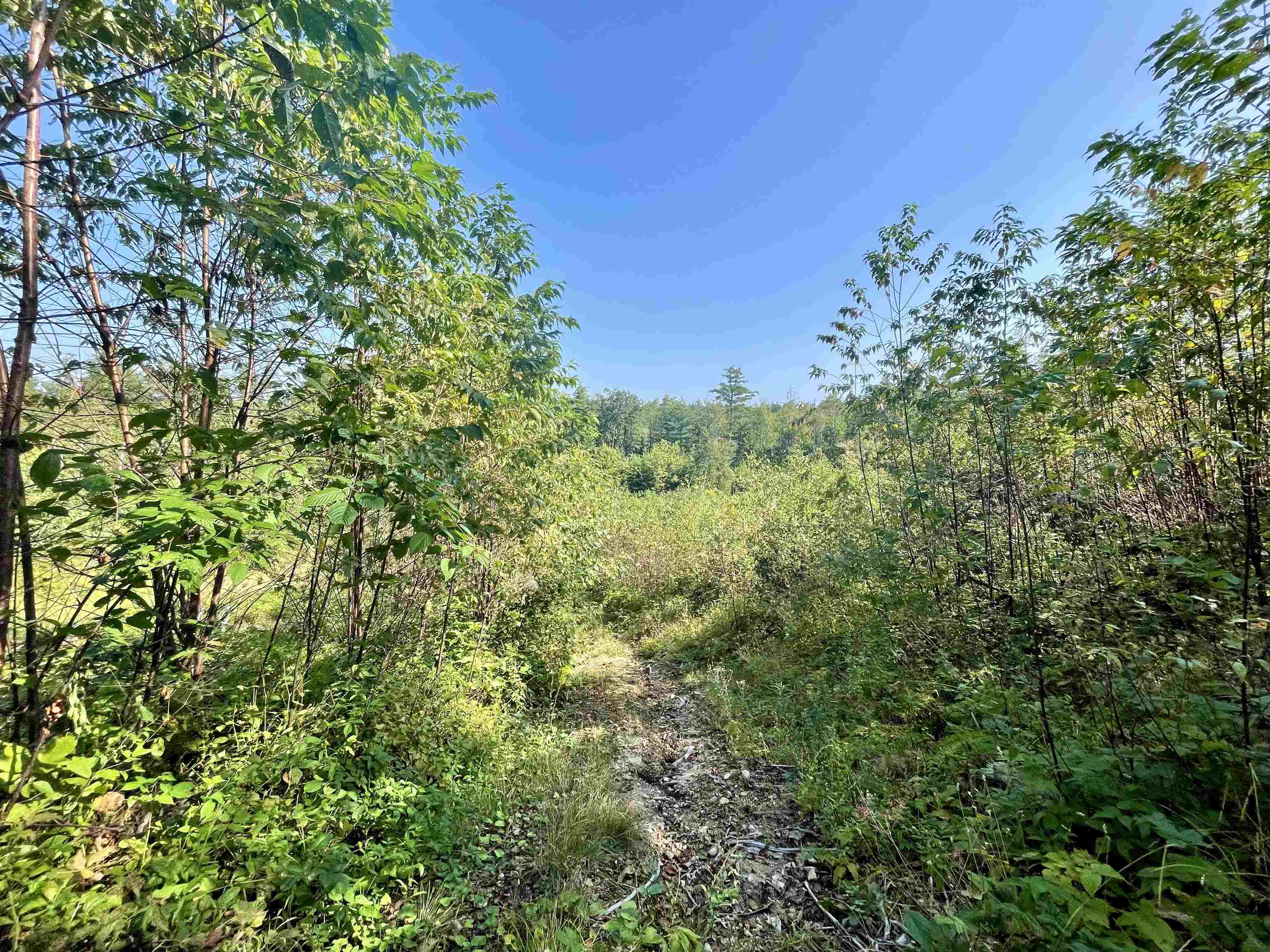 63 Old Granite Road Ossipee, NH 03864 - Photo 5 of 10