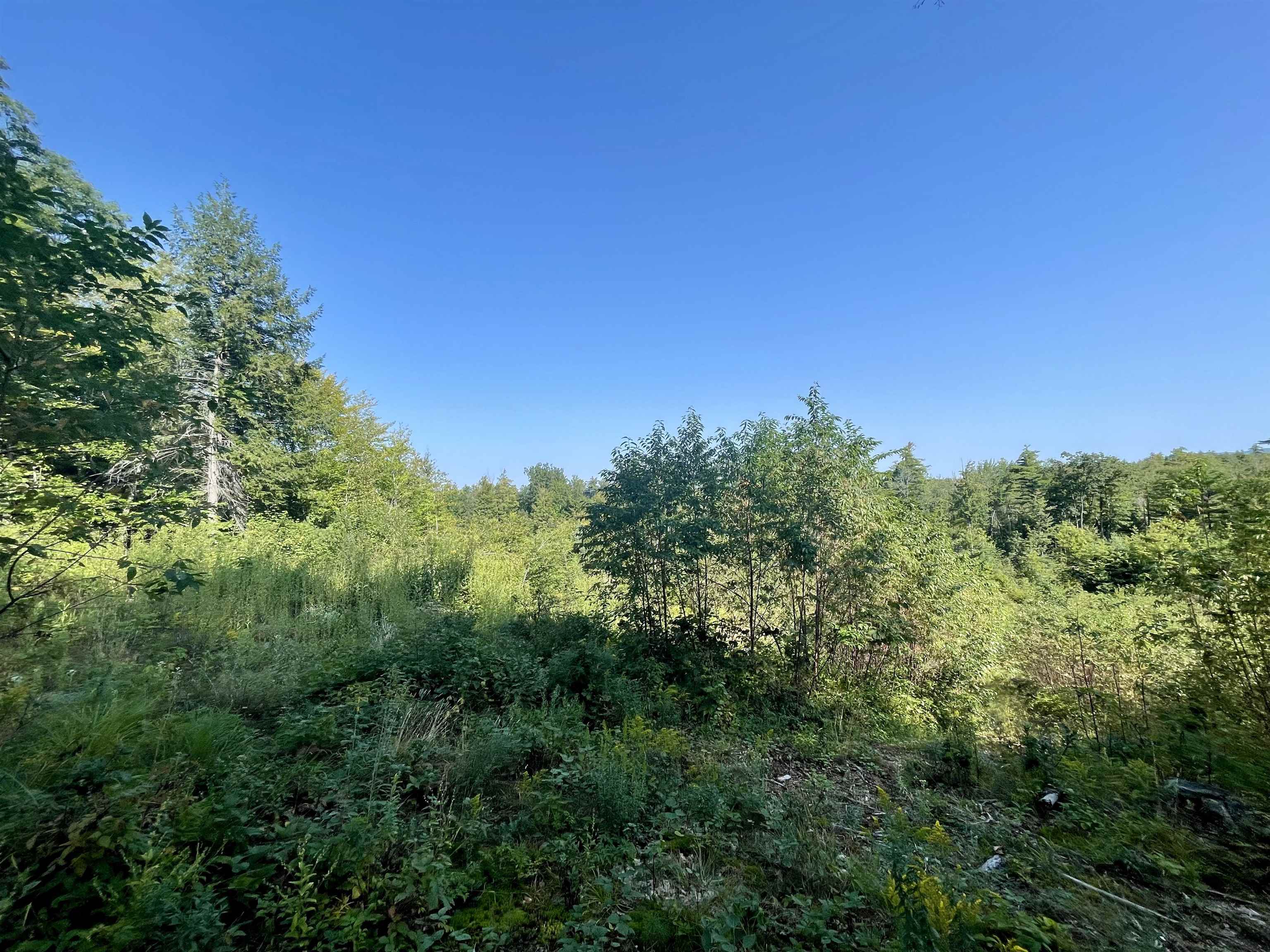 63 Old Granite Road Ossipee, NH 03864 - Photo 6 of 10