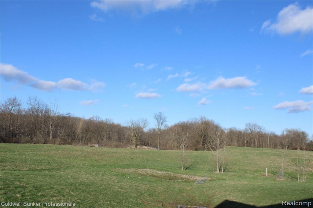 3878 Peters Road Columbiaville, MI 48421 - Photo 6 of 38