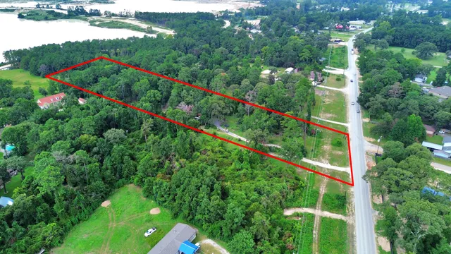 a view of a yard with plants