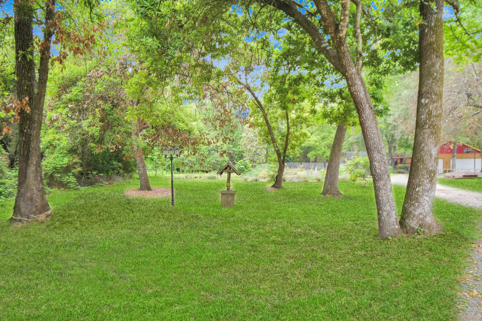 24998 Sorters Road Porter, TX 77365 - Photo 11 of 39 a view of backyard with large trees