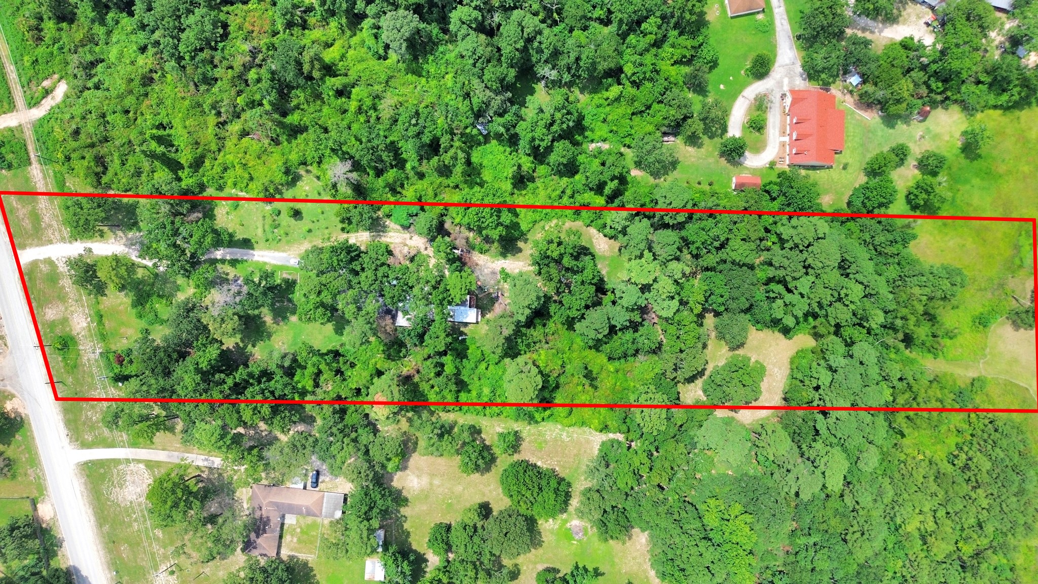 24998 Sorters Road Porter, TX 77365 - Photo 3 of 39 a view of a yard with plants