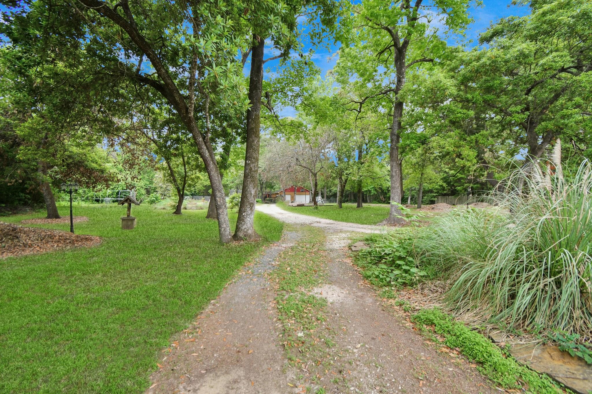 24998 Sorters Road Porter, TX 77365 - Photo 9 of 39 a view of a park with large trees