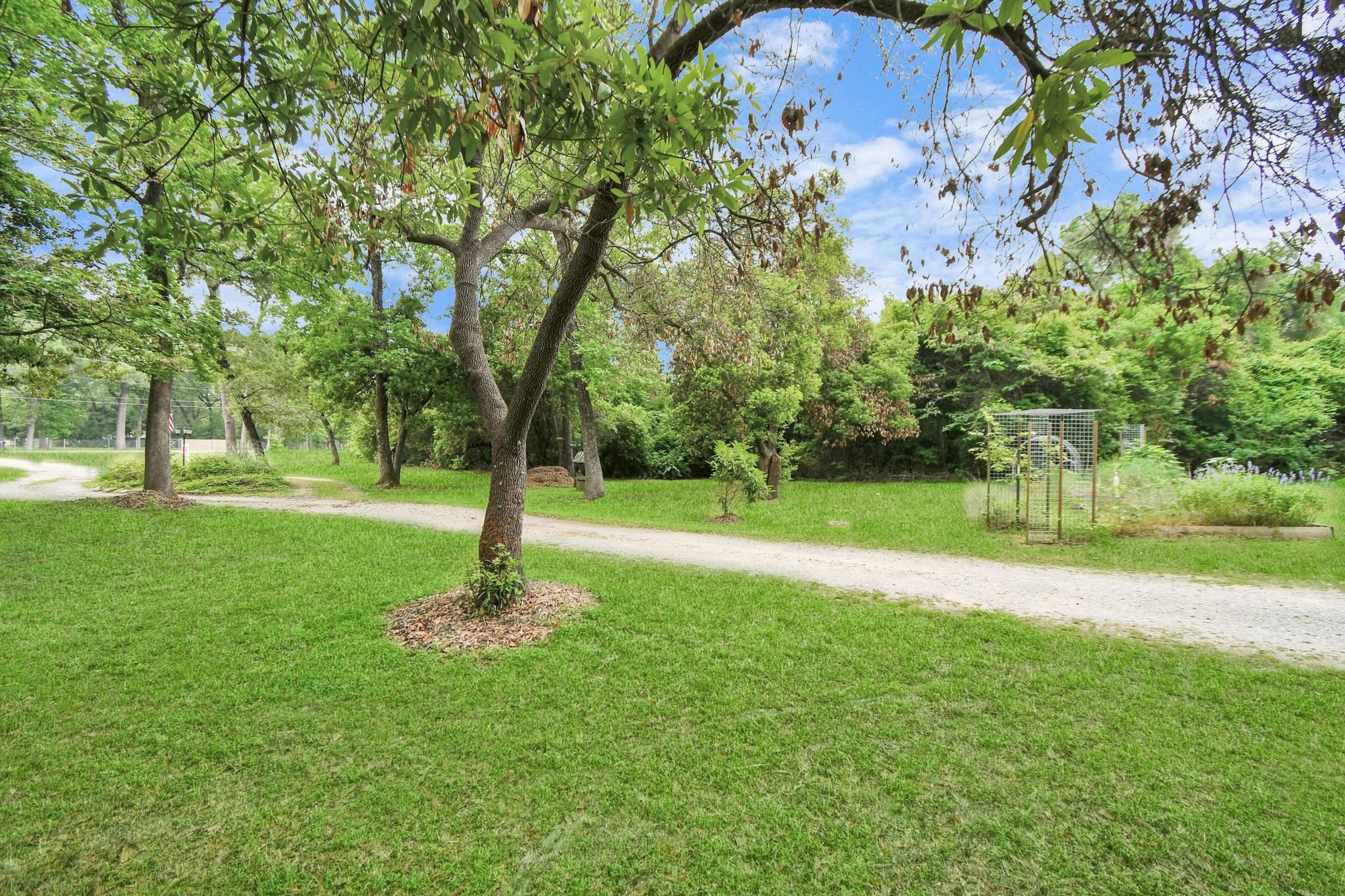 24998 Sorters Road Porter, TX 77365 - Photo 10 of 39 a view of a park with a tree in the grass