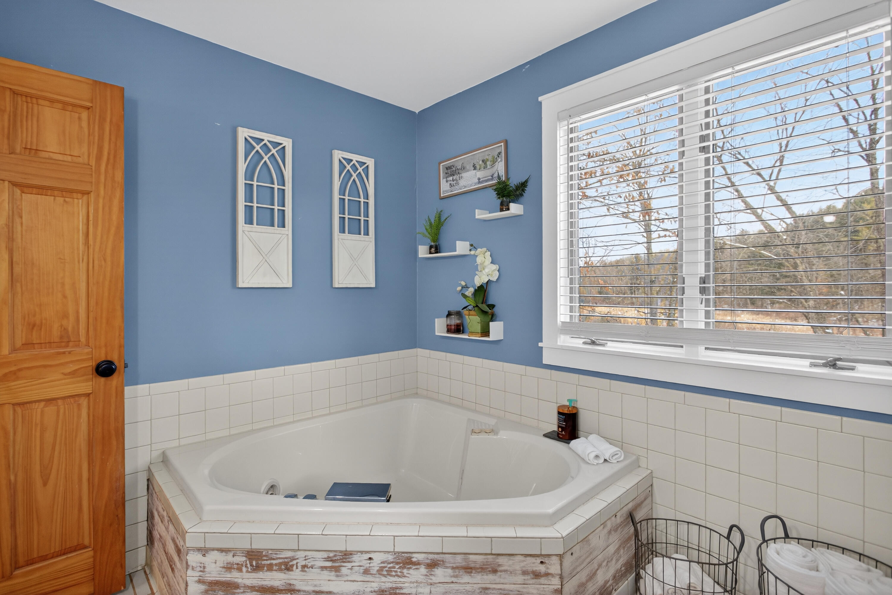 8900 County Farm Road Parma, MI 49269 - Photo 30 of 71 Primary with soaker