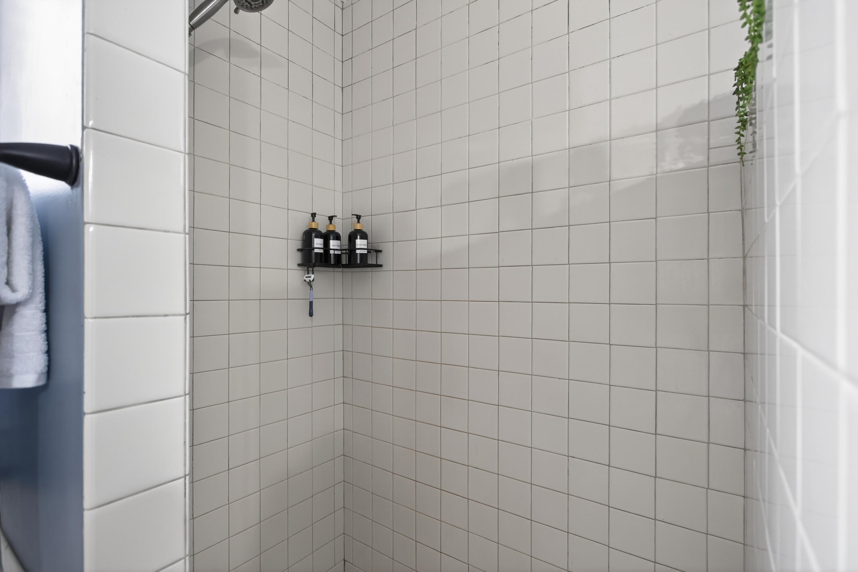 8900 County Farm Road Parma, MI 49269 - Photo 31 of 71 Primary walk in shower