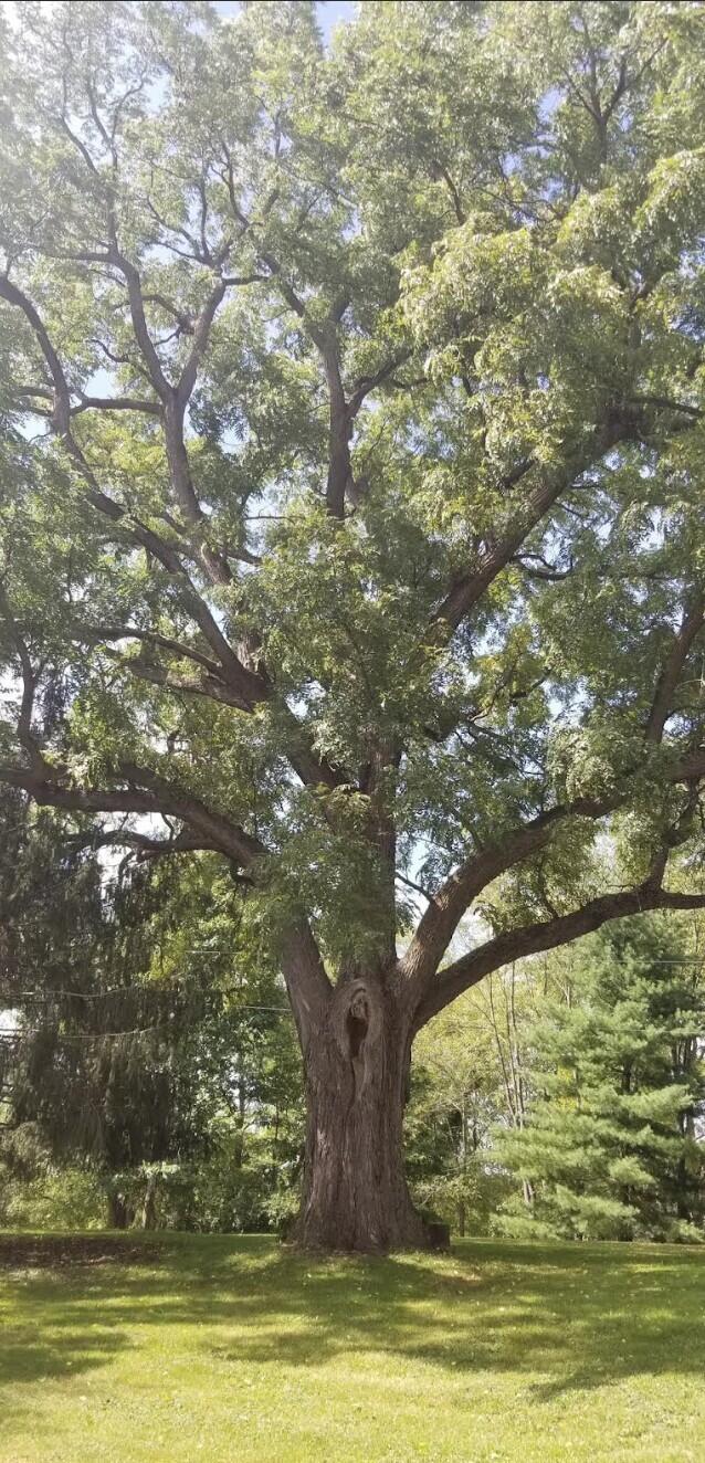 8900 County Farm Road Parma, MI 49269 - Photo 66 of 71 Natural setting