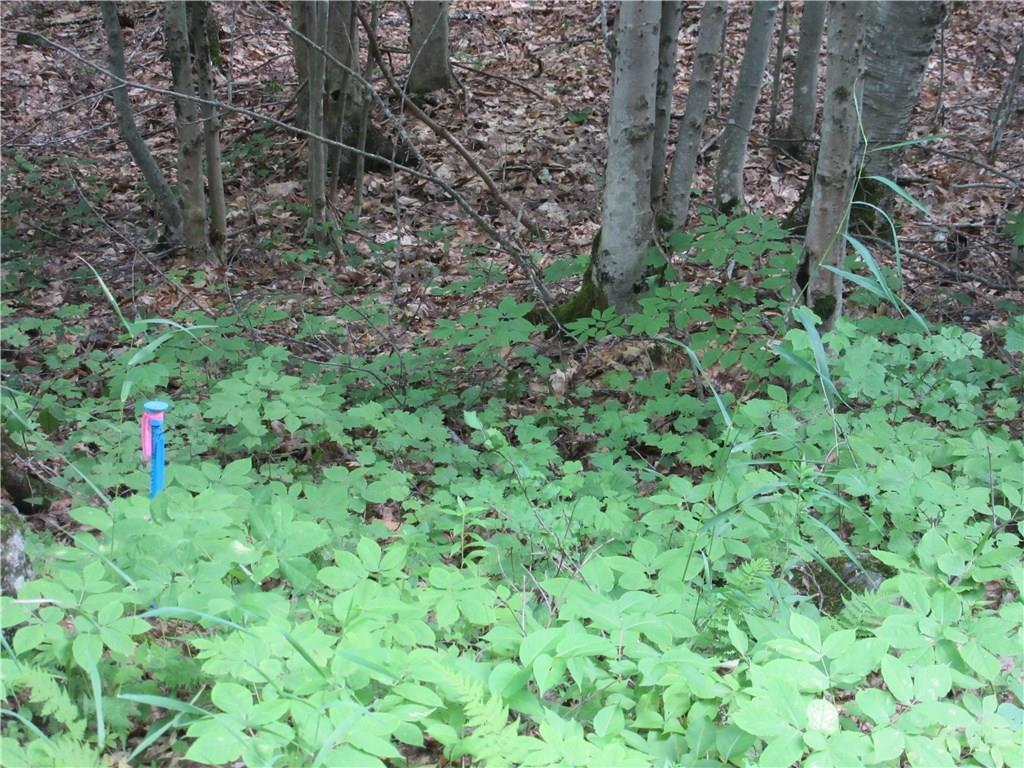 0 Southeast Bostwick Road Brunswick, ME 04011 - Photo 4 of 12 Photo