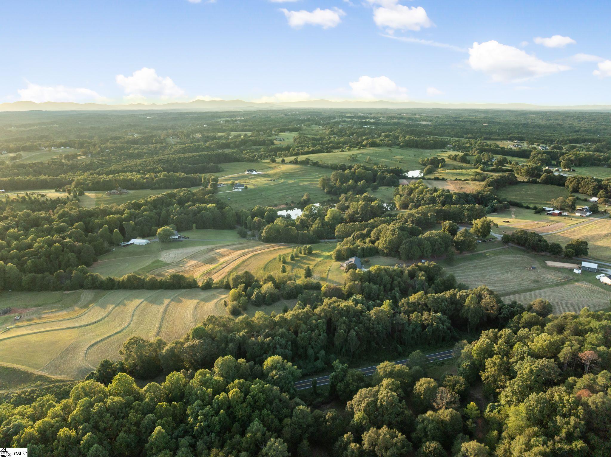 1010 Wall Circle Chesnee, SC 29323 - Photo 41 of 47