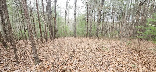 a view of wooden floor with a trees in the background