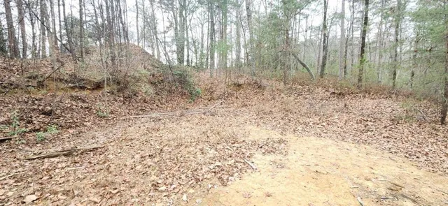 a view of backyard with trees