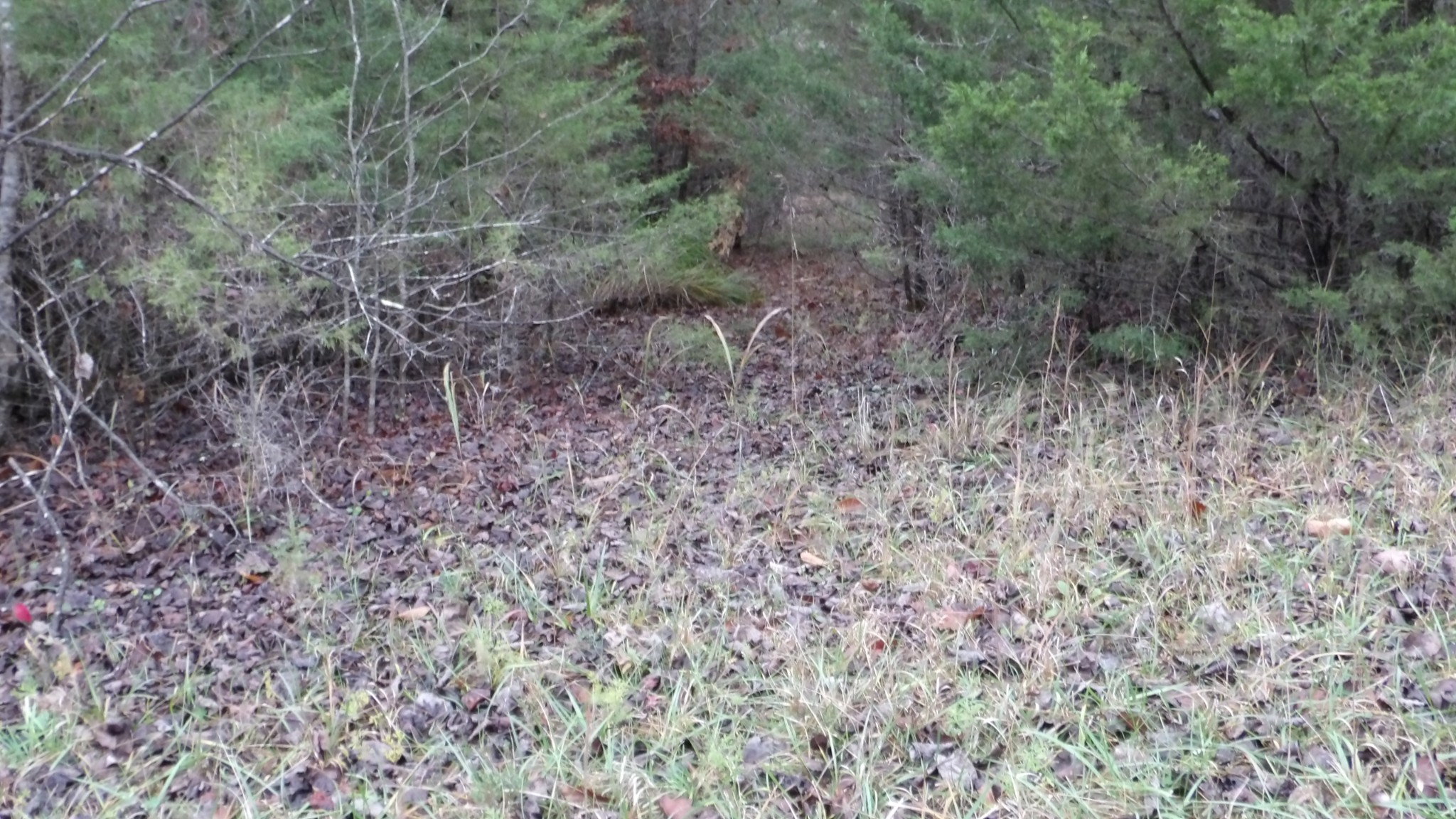 0 North Star Road Jamestown, TN 38556 - Photo 15 of 37 Gallery Image 15