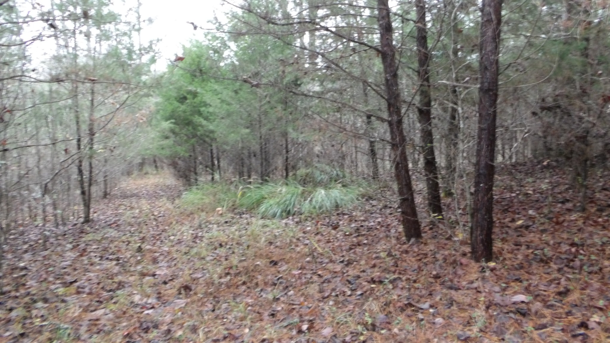 0 North Star Road Jamestown, TN 38556 - Photo 22 of 37 Gallery Image 22