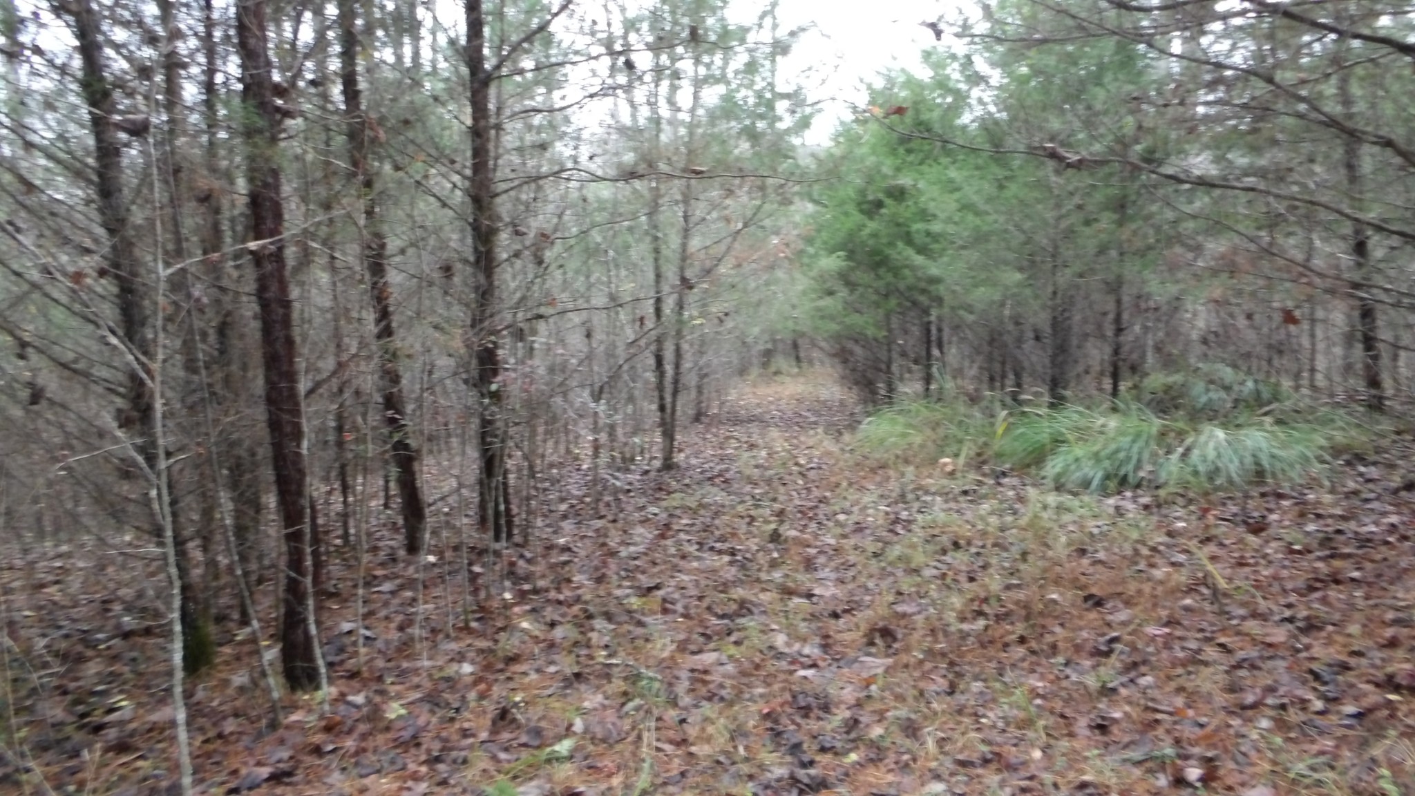 0 North Star Road Jamestown, TN 38556 - Photo 23 of 37 Gallery Image 23