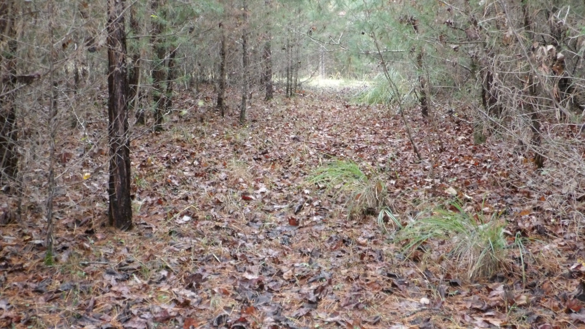 0 North Star Road Jamestown, TN 38556 - Photo 25 of 37 Gallery Image 25