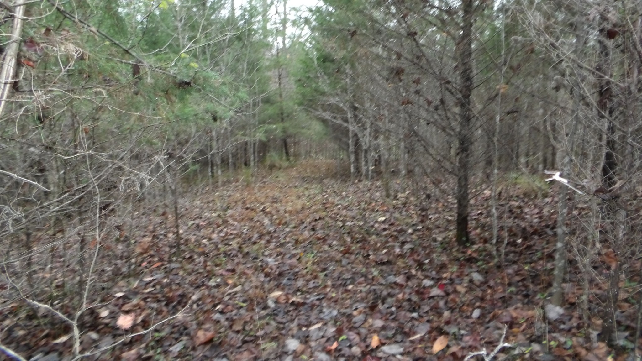 0 North Star Road Jamestown, TN 38556 - Photo 27 of 37 Gallery Image 27