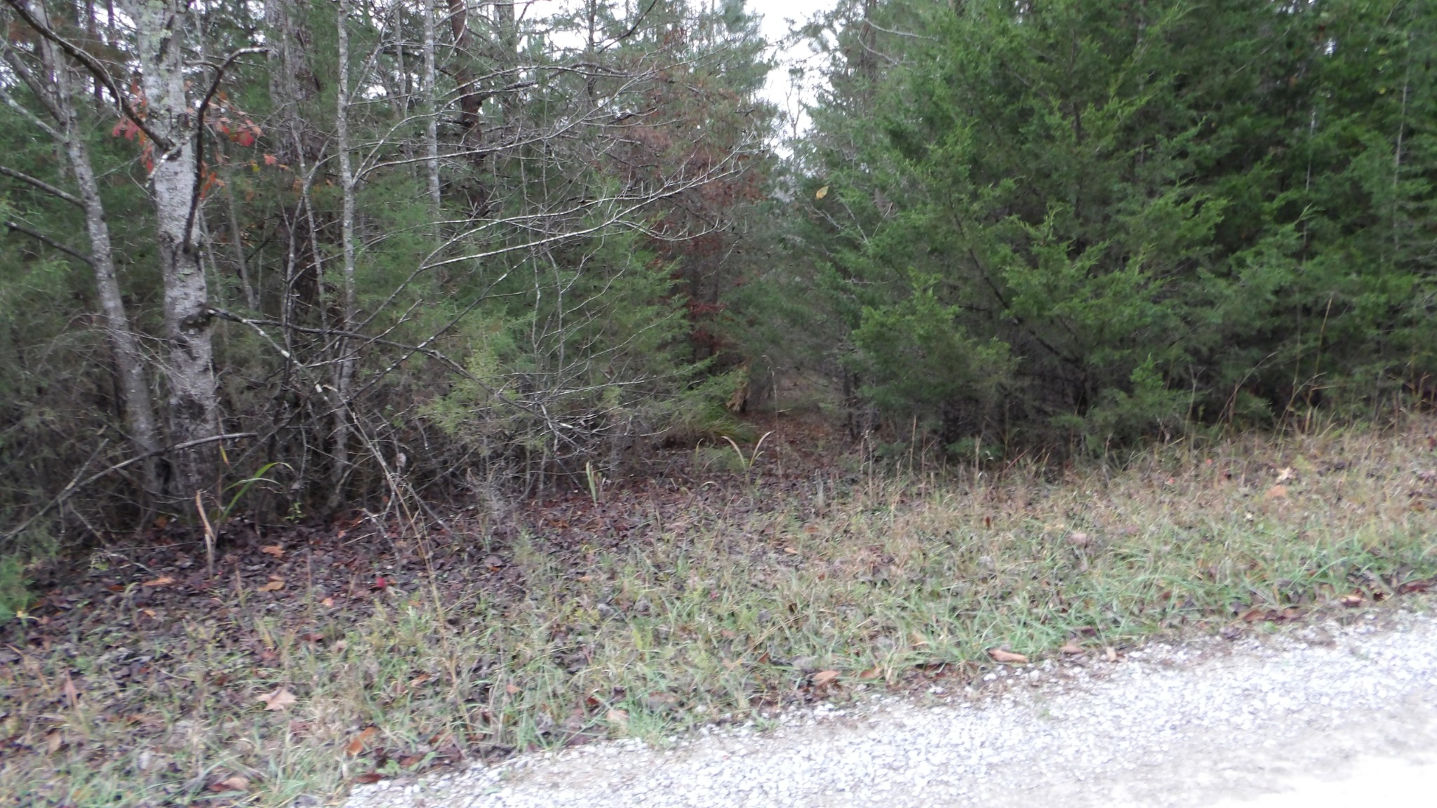 0 North Star Road Jamestown, TN 38556 - Photo 36 of 37 Gallery Image 36