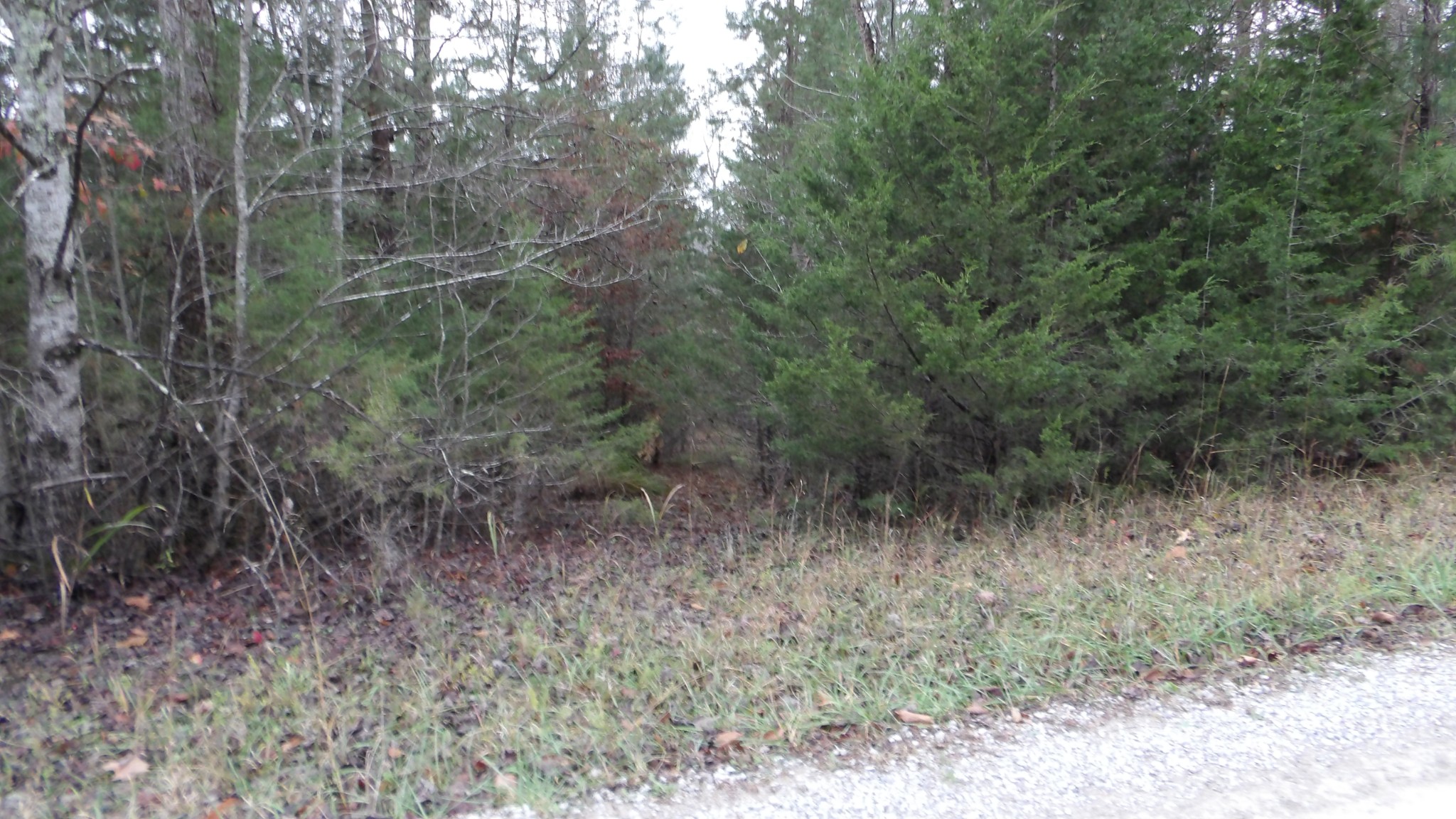 0 North Star Road Jamestown, TN 38556 - Photo 37 of 37 Gallery Image 37