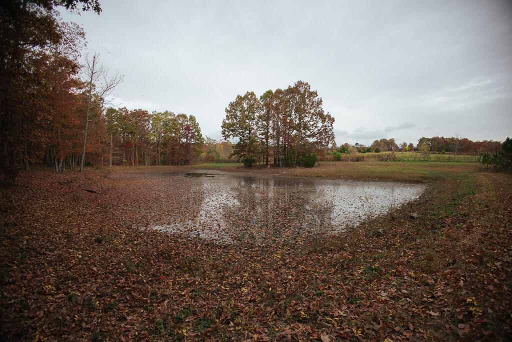 0 Reed Lane Soddy-Daisy, TN 37379 - Photo 8 of 47 Gallery Image 8