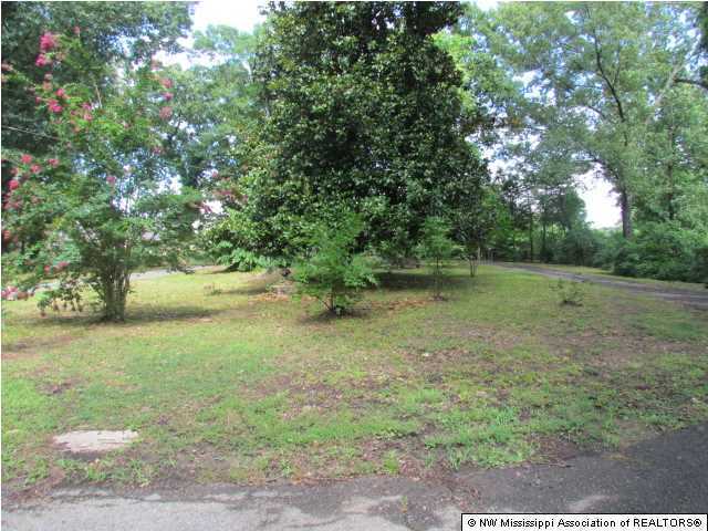 3931 Davis Road Southaven, MS 38672 - Photo 3 of 7 Additional Photo