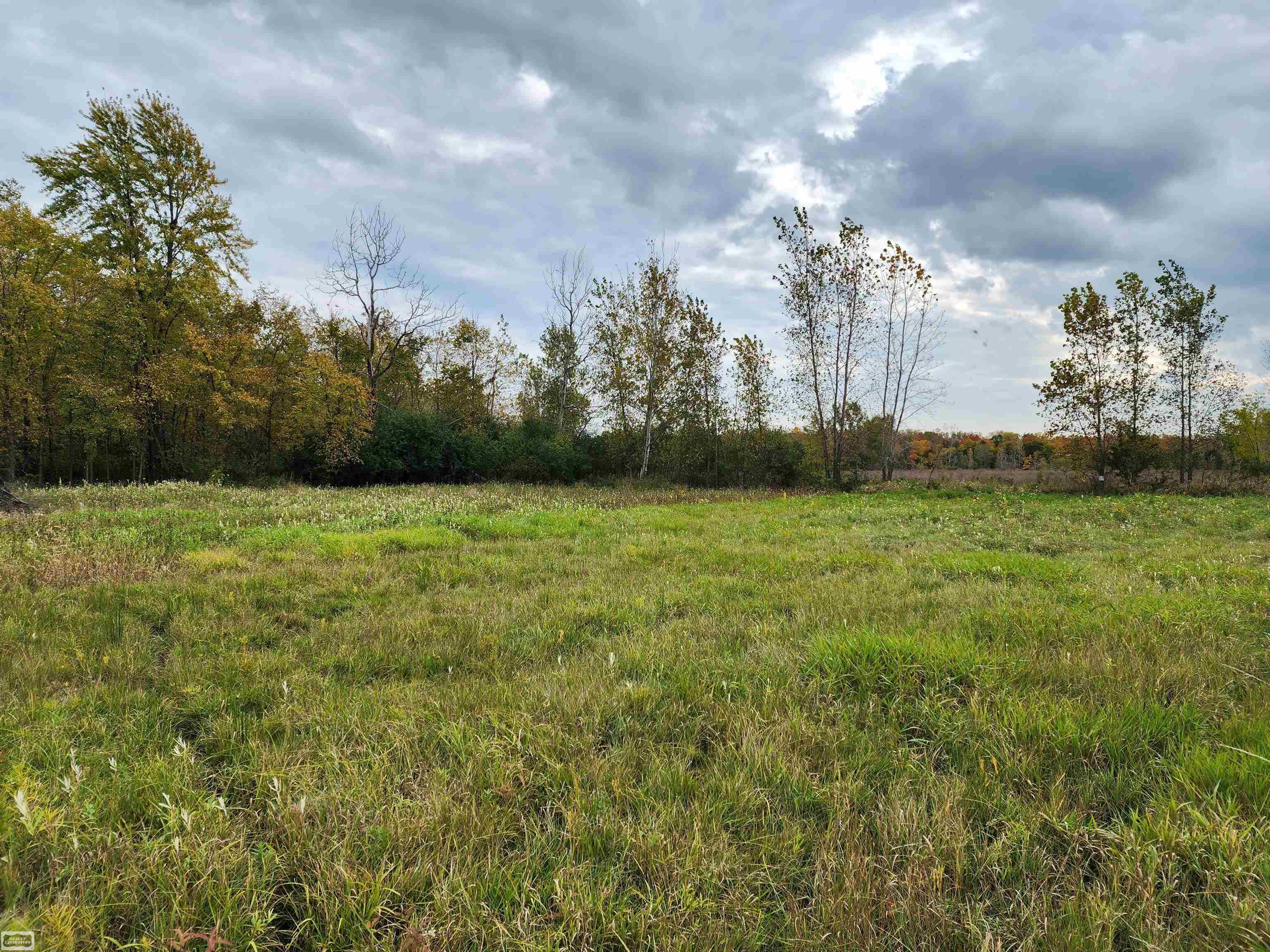 0 Norman Road Yale, MI 48097 - Photo 6 of 14