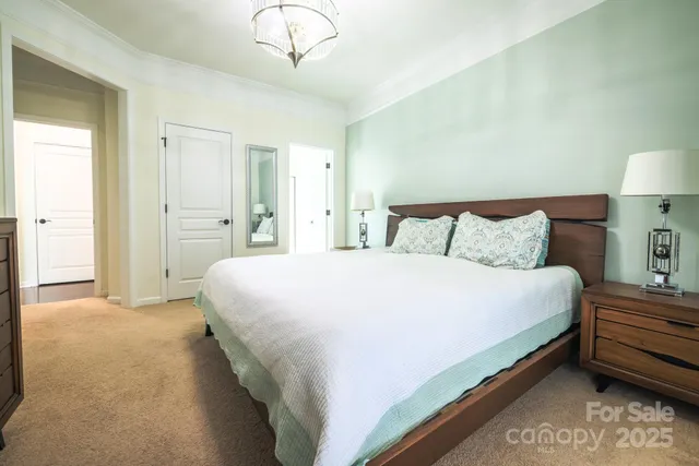 a view of a field with a tree in the background