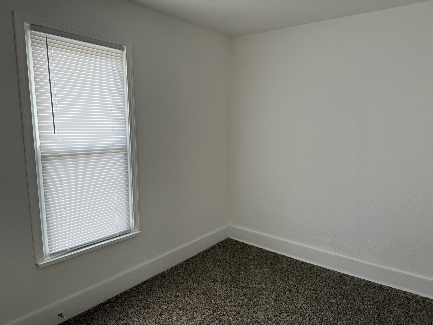 513 Barney Riva Street Dalzell, IL 61320 - Photo 7 of 39 a small space with a window