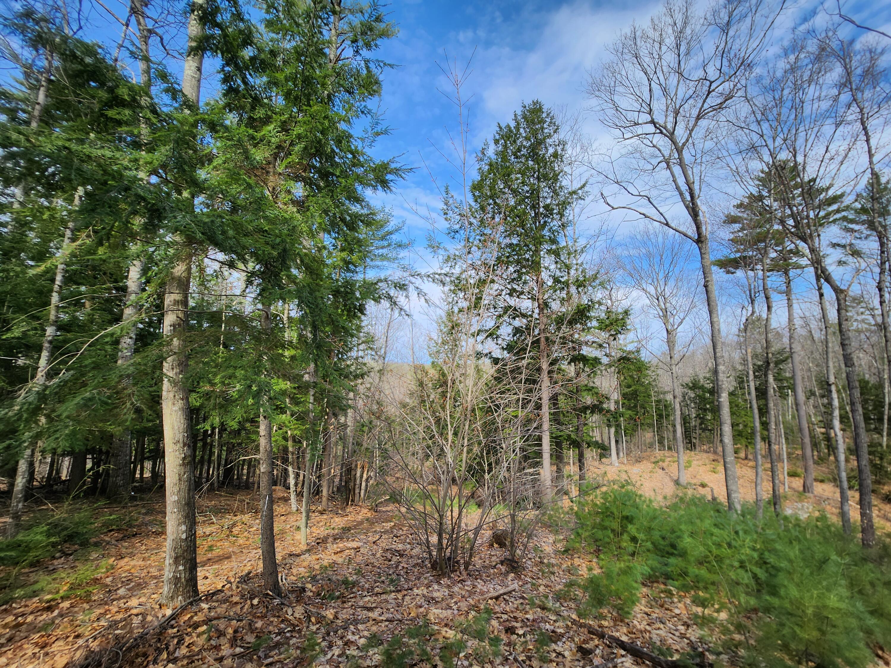 0 Poland Corner Road Poland, ME 04274 - Photo 26 of 28 20230421_100057