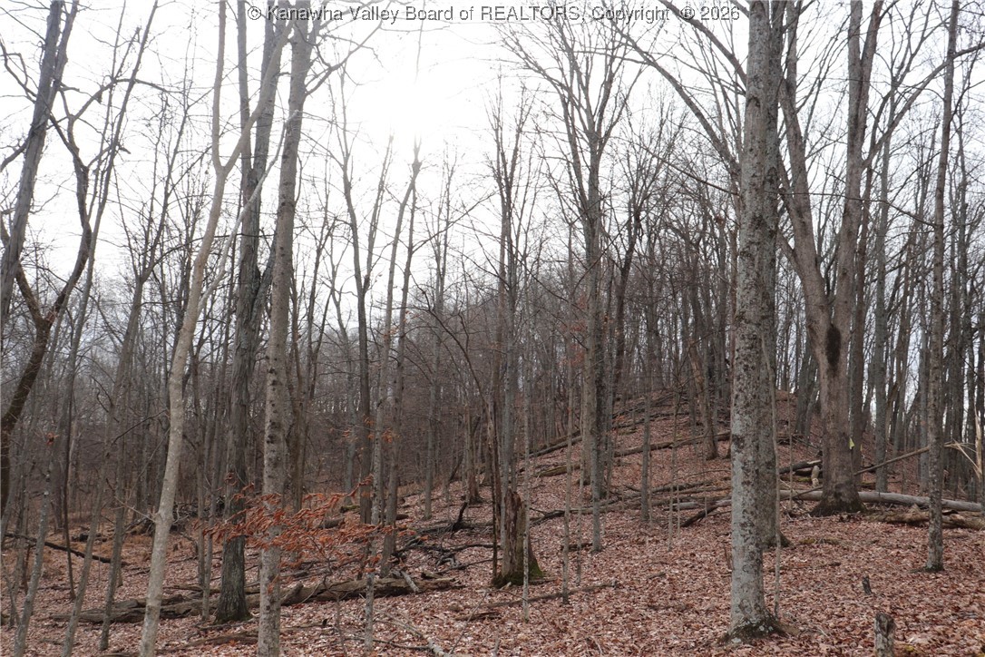 0 Route 12 Road Alum Creek, WV 25003 - Photo 21 of 44 Gallery Image 21
