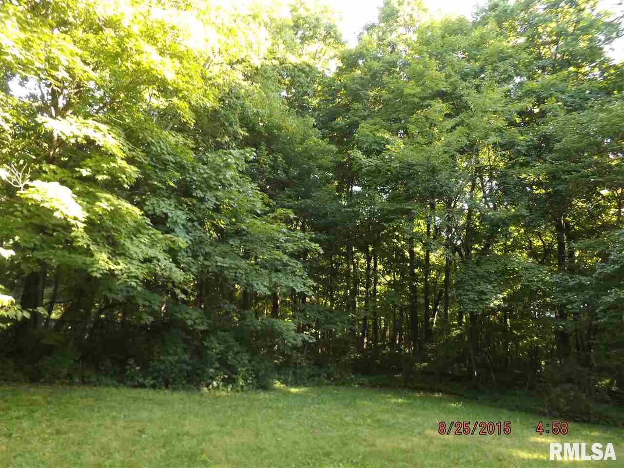 18179 Red Shale Hill Road Pekin, IL 61554 - Photo 27 of 35