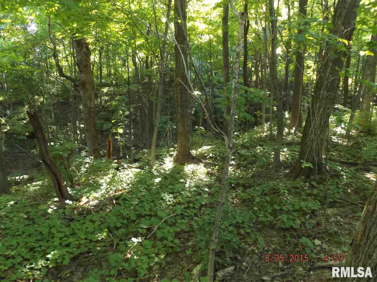 18179 Red Shale Hill Road Pekin, IL 61554 - Photo 28 of 35