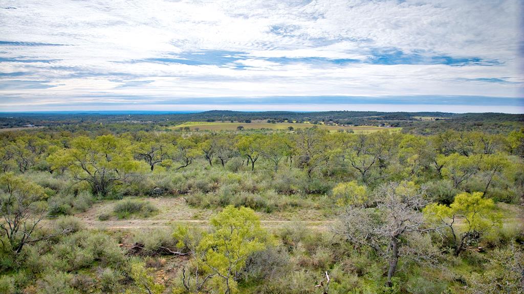 0 Ranch Road 2618 Mason, TX 76856 - Photo 7 of 15