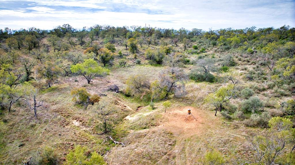 0 Ranch Road 2618 Mason, TX 76856 - Photo 9 of 15