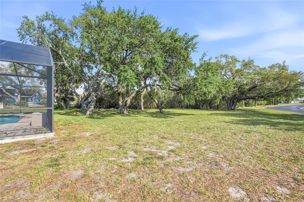 4510 Rickover Court New Port Richey, FL 34652 - Photo 32 of 42