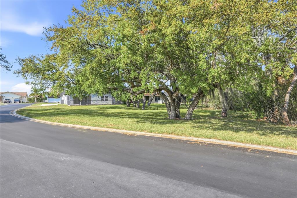 4510 Rickover Court New Port Richey, FL 34652 - Photo 35 of 42