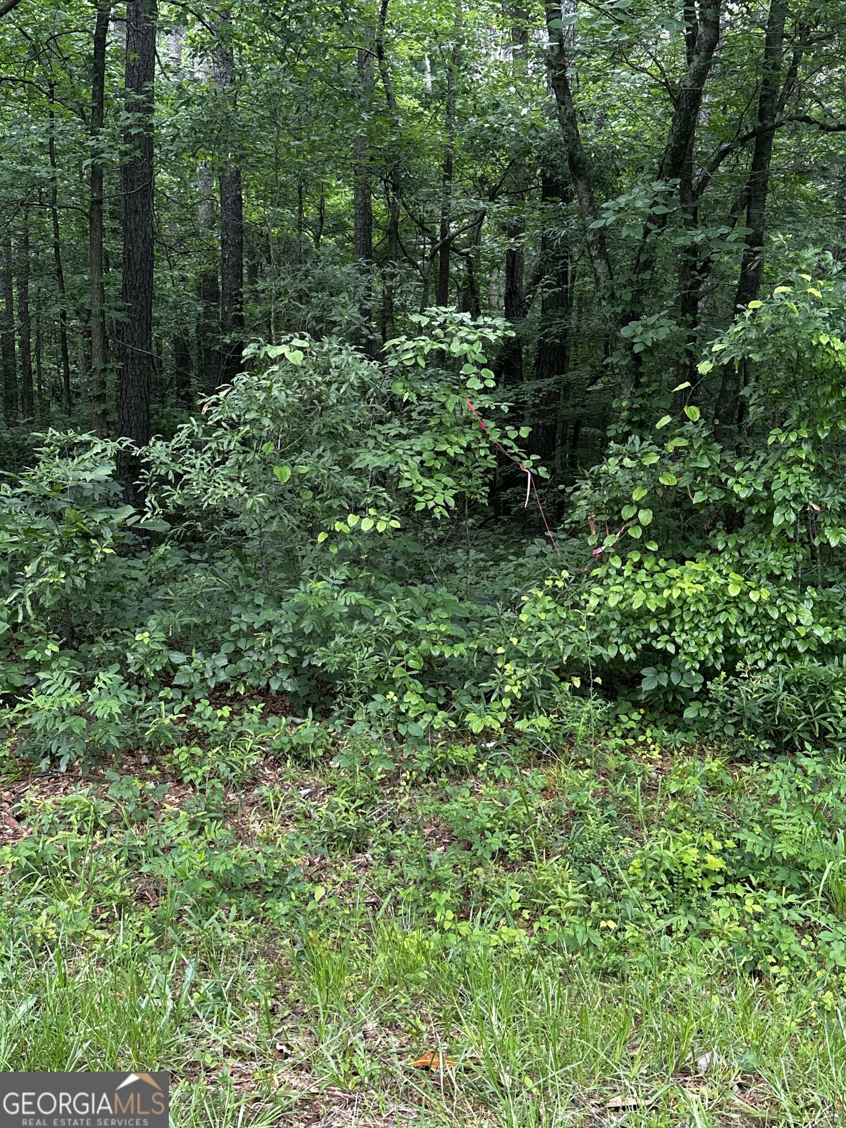 0 Ayers Road Bowdon, GA 30108 - Photo 1 of 1 a view of a garden with plants and trees
