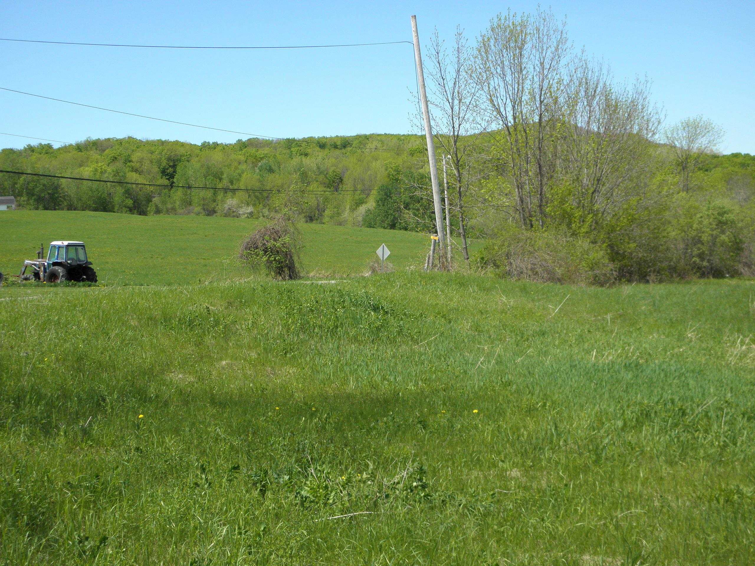 Old Otis Road Danby, VT 05739 - Photo 3 of 8 Gallery Image 3