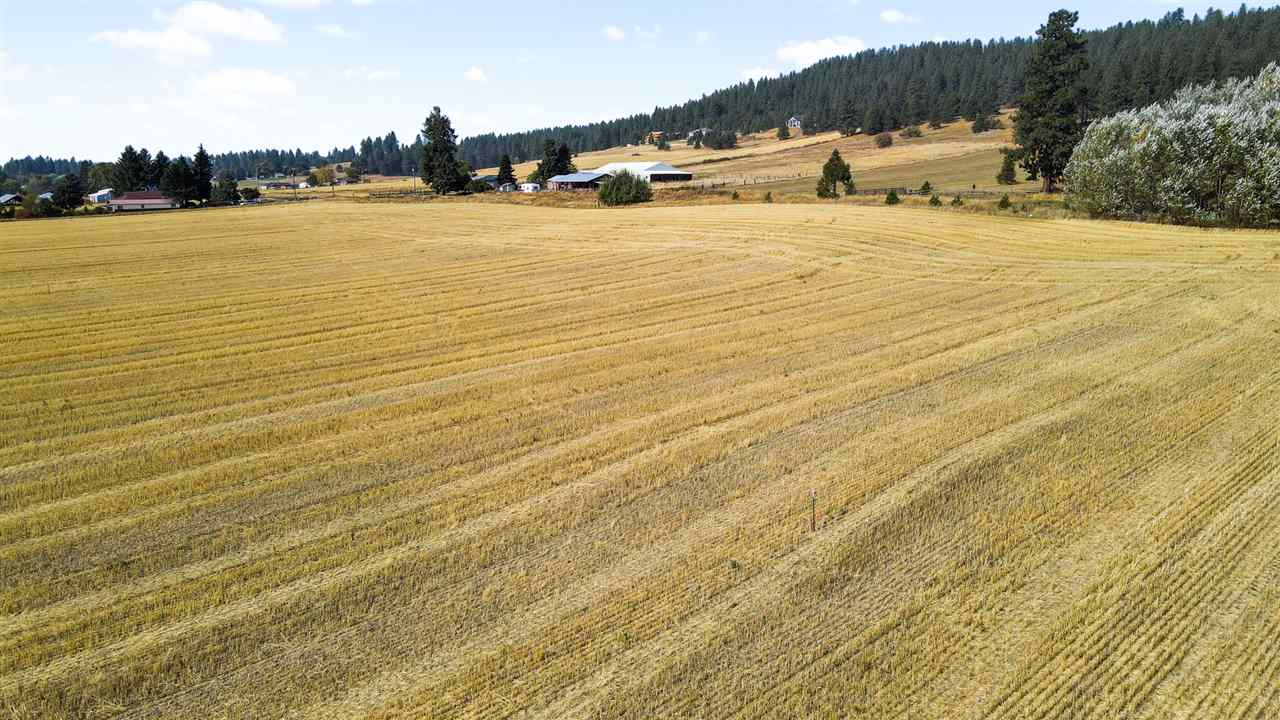 7100 East Big Meadows Road Chattaroy, WA 99003 - Photo 27 of 33 Gallery Image 27