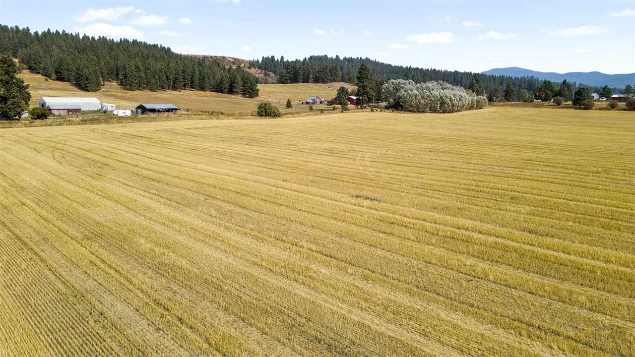 7100 East Big Meadows Road Chattaroy, WA 99003 - Photo 28 of 33 Gallery Image 28