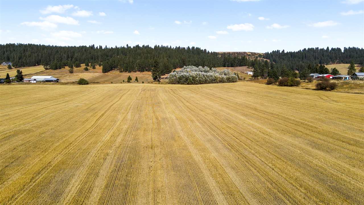 7100 East Big Meadows Road Chattaroy, WA 99003 - Photo 33 of 33 Gallery Image 33