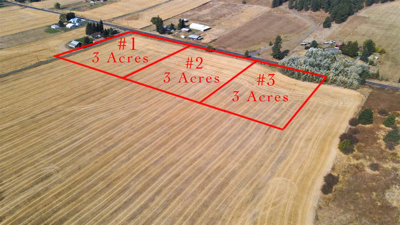 7100 East Big Meadows Road Chattaroy, WA 99003 - Photo 8 of 33 Gallery Image 8