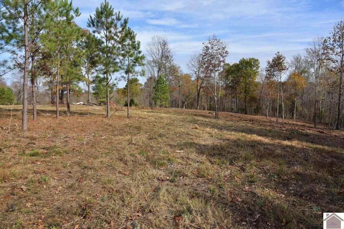 0 Goodsprings Road Fredonia, KY 42411 - Photo 9 of 33 Photo 9