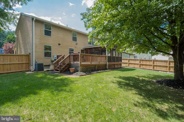 a view of a backyard with plants and large tree